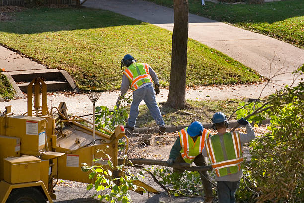 Best Lawn Renovation and Restoration  in Skagway, AK